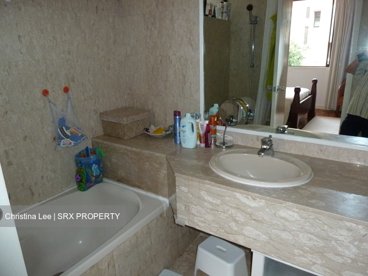 Sommerville Park (D10), Condominium #581432511
